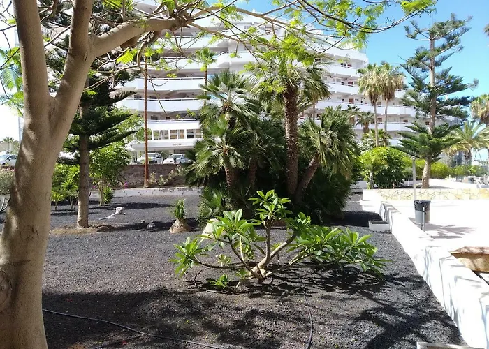 Apartment Vina Del Mar *