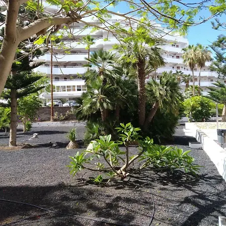 Apartment Vina Del Mar *