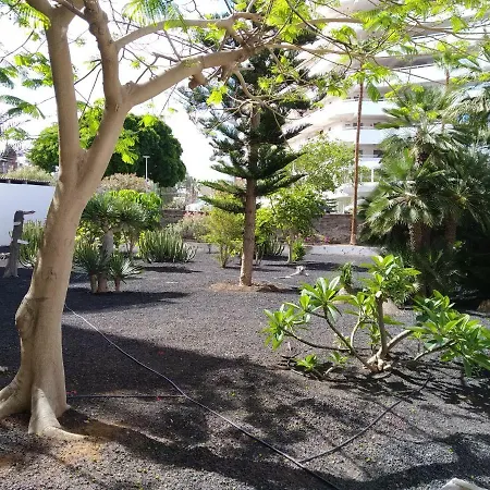 Vina Del Mar * Playa de las Américas