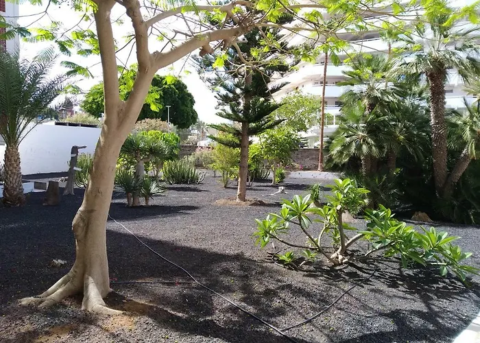 Vina Del Mar * Плая-де-лас-Америкас